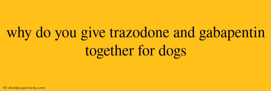 why do you give trazodone and gabapentin together for dogs