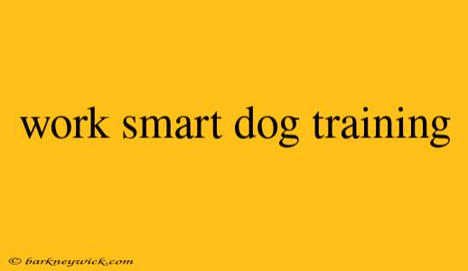 work smart dog training