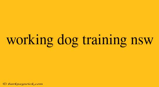 working dog training nsw