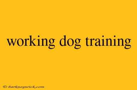 working dog training