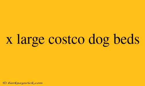 x large costco dog beds