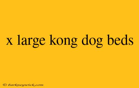 x large kong dog beds