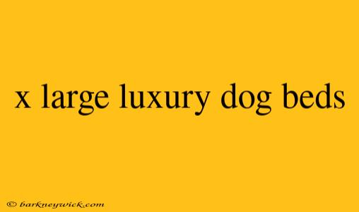 x large luxury dog beds