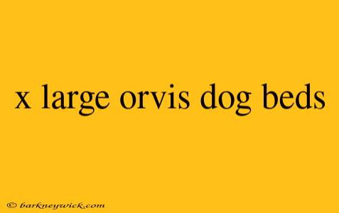 x large orvis dog beds