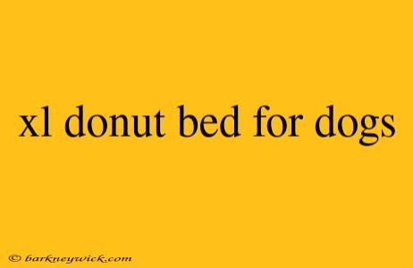 xl donut bed for dogs