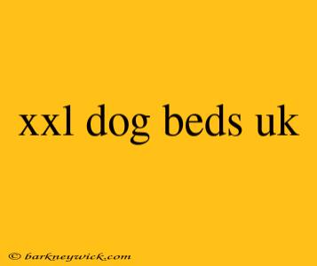 xxl dog beds uk