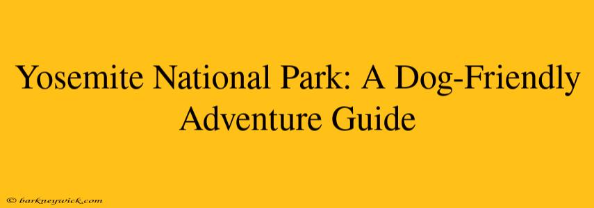 Yosemite National Park: A Dog-Friendly Adventure Guide