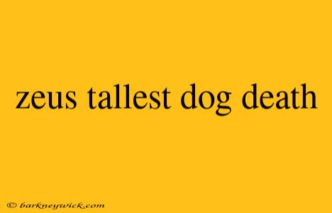 zeus tallest dog death