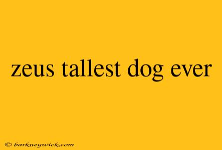 zeus tallest dog ever