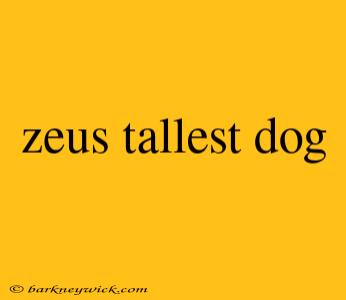 zeus tallest dog